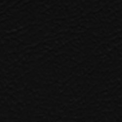 Florida Black