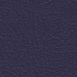 Florida Castle Blue