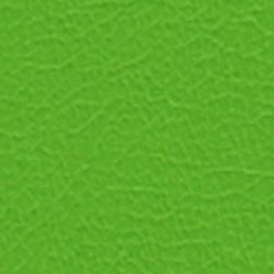 Florida Lime